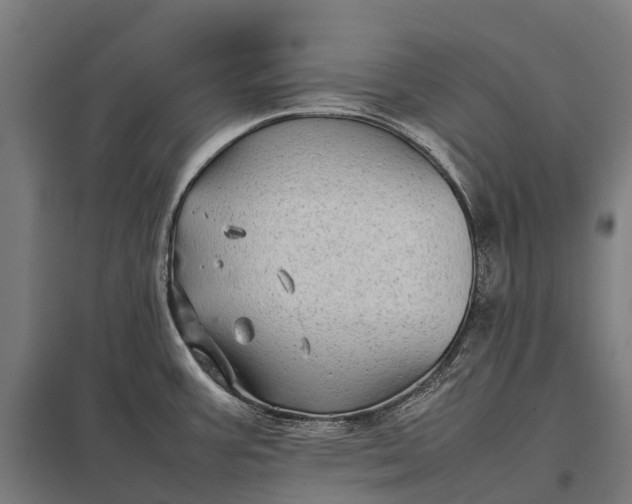 X0000097861387200803281302