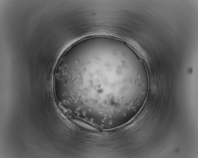 X0000097861388200803281302