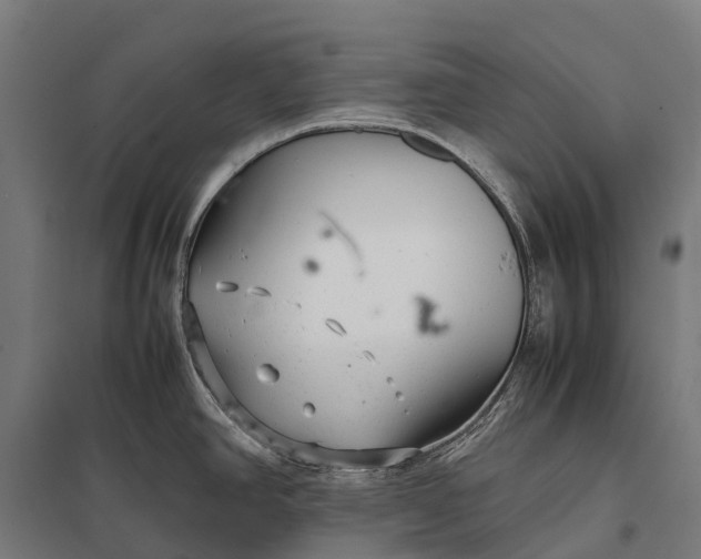 X0000097861390200803281302