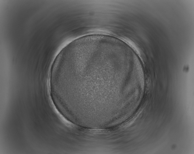 X0000097861391200803281302