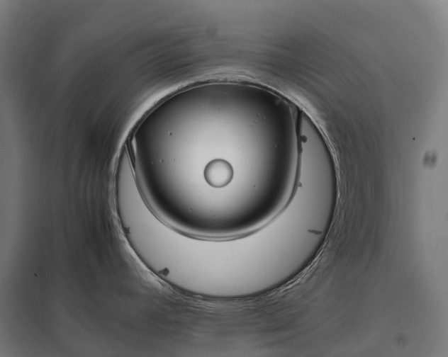 X0000097861392200803281302