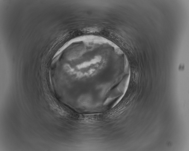 X0000097861393200803281301