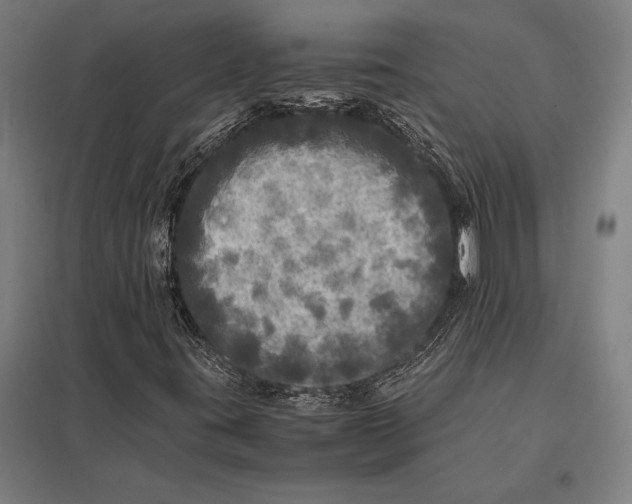 X0000097861395200803281301