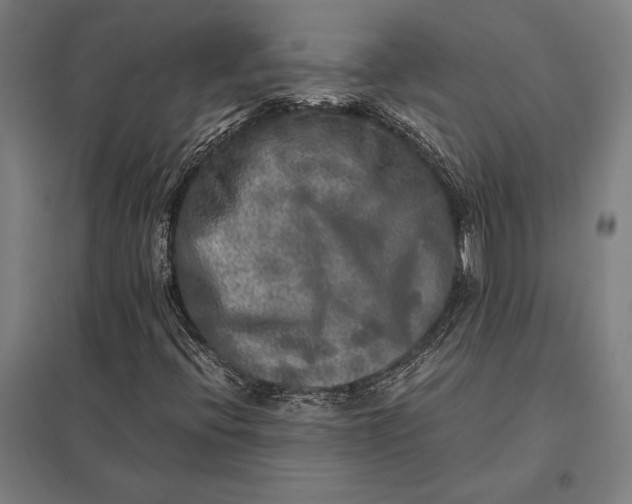 X0000097861396200803281301