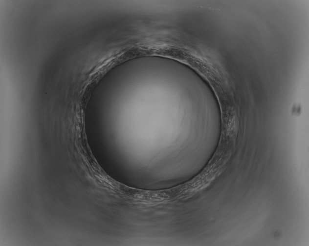 X0000097861397200803281301