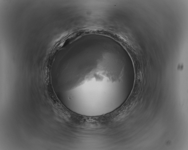 X0000097861398200803281301