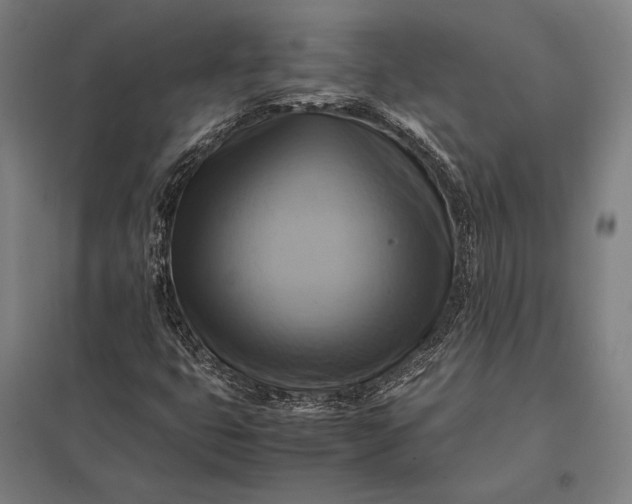 X0000097861399200803281301