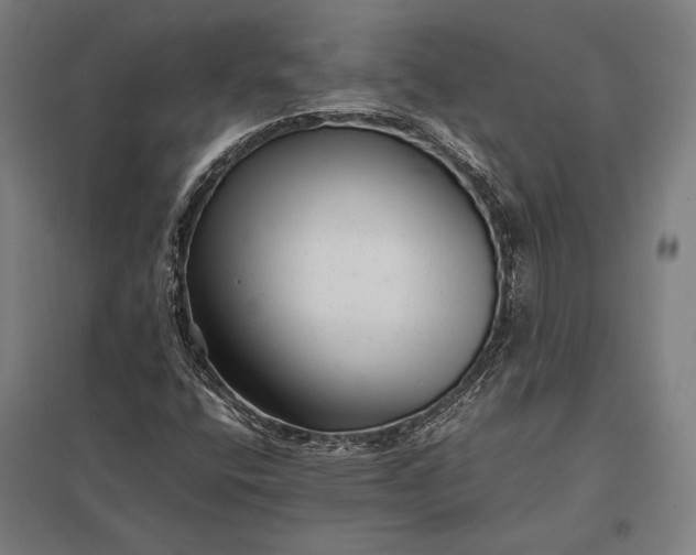 X0000097861400200803281301