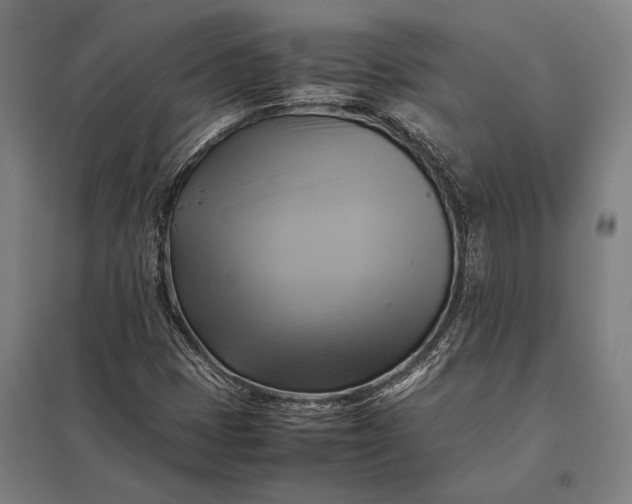 X0000097861401200803281301