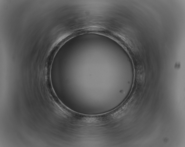 X0000097861402200803281301