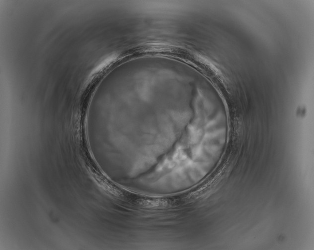 X0000097861403200803281301