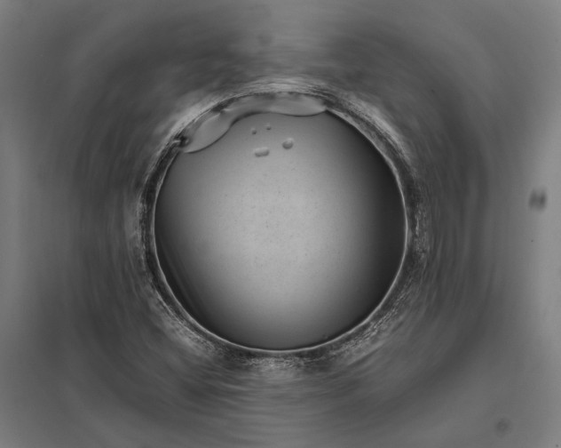 X0000097861404200803281301