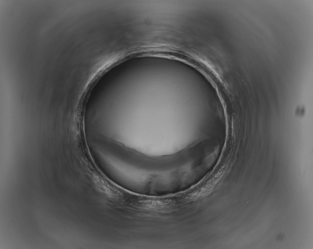 X0000097861405200803281301