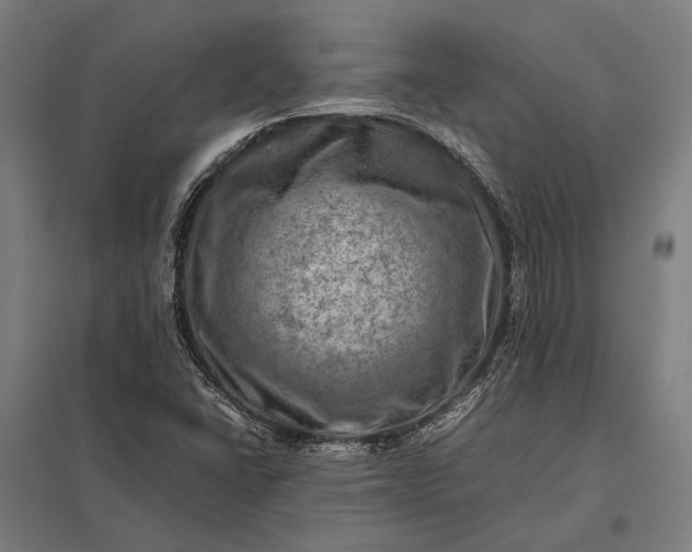 X0000097861406200803281301