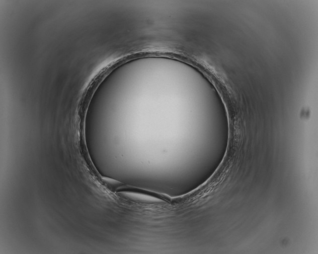 X0000097861408200803281301