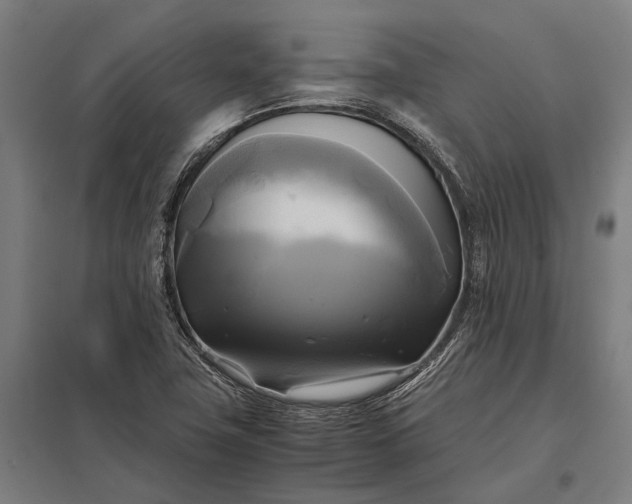 X0000097861411200803281301