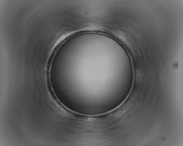 X0000097861412200803281301