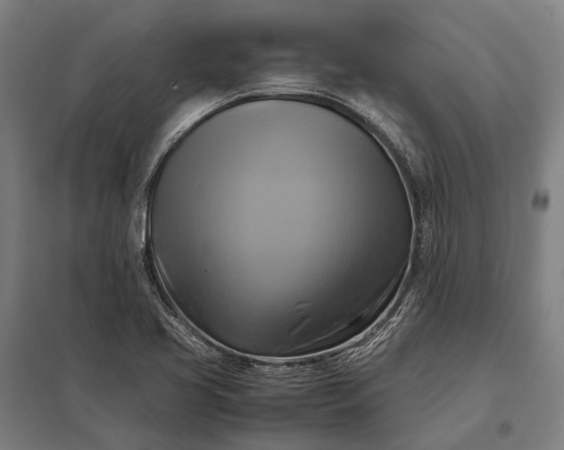 X0000097861413200803281301