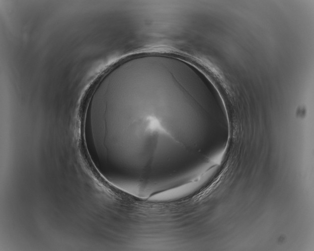 X0000097861414200803281301