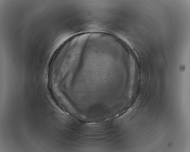 X0000097861415200803281301