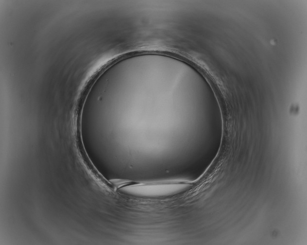 X0000097861416200803281301