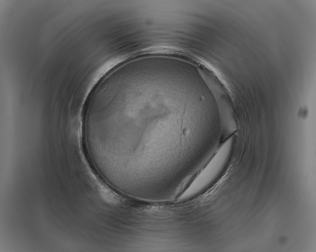 X0000097861418200803281301