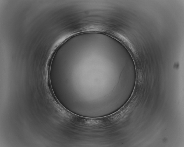 X0000097861419200803281301