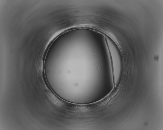 X0000097861420200803281301