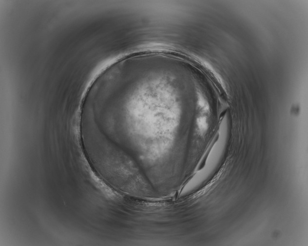 X0000097861421200803281302