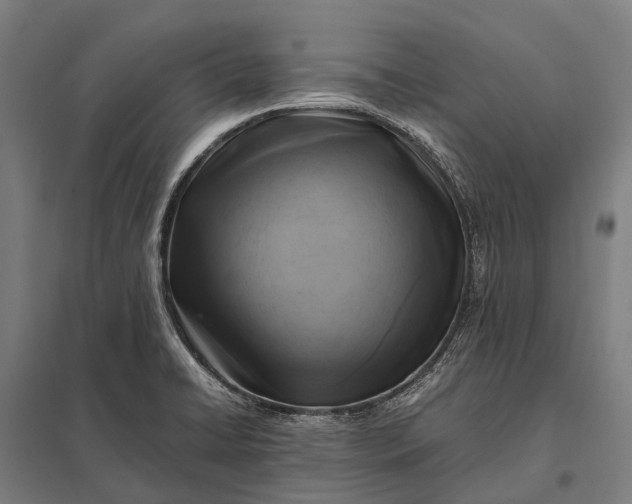 X0000097861422200803281302