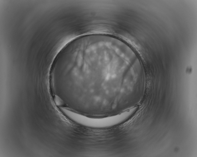 X0000097861423200803281302