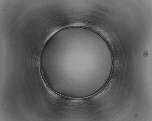 X0000097861425200803281302