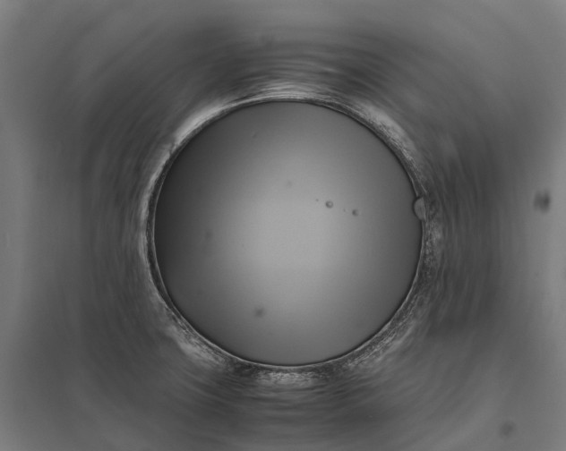 X0000097861427200803281302