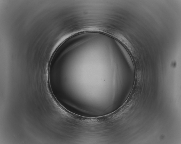 X0000097861428200803281302