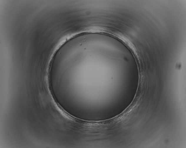 X0000097861429200803281302