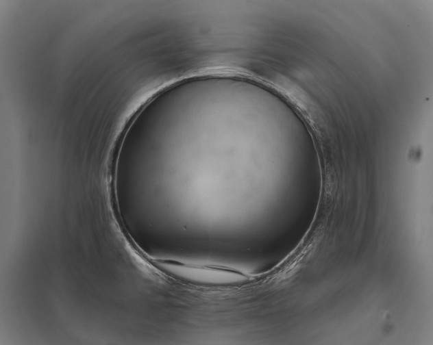 X0000097861430200803281302