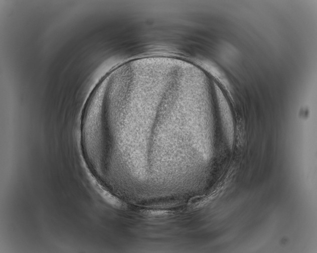 X0000097861431200803281302