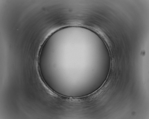 X0000097861432200803281302