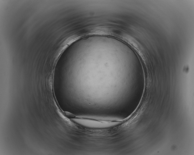 X0000097861433200803281302