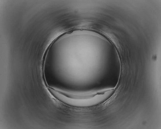 X0000097861434200803281302