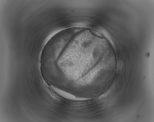 X0000097861435200803281302