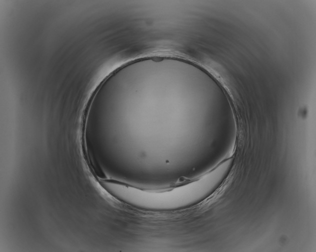 X0000097861438200803281302