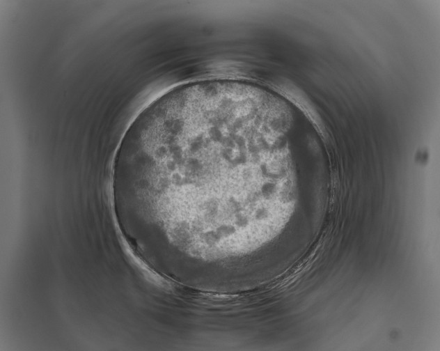 X0000097861439200803281302