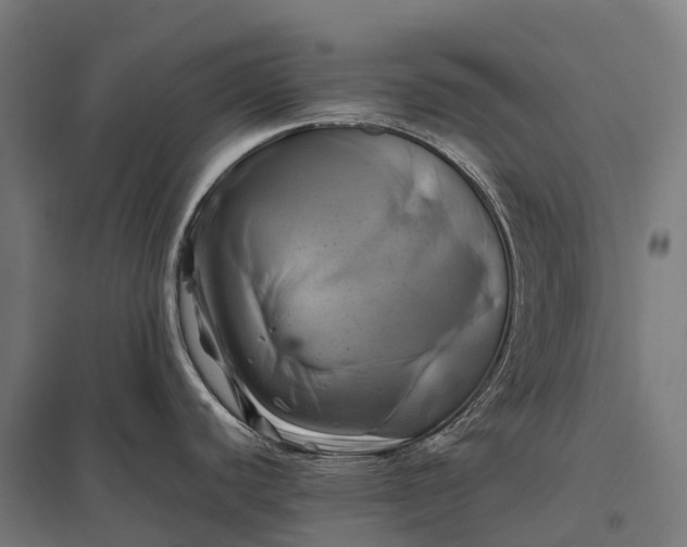 X0000097861440200803281302