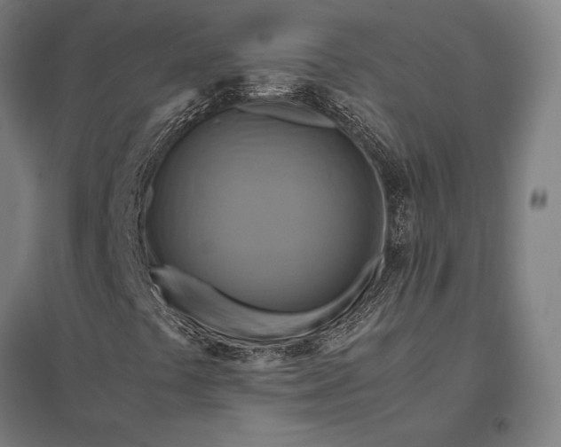 X0000097861441200803281301