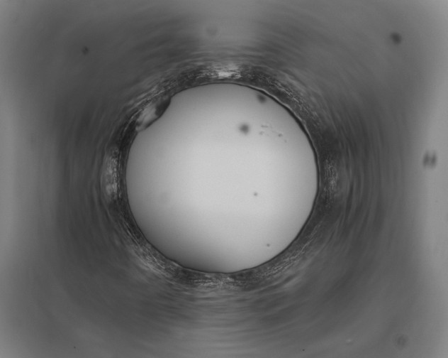 X0000097861442200803281301