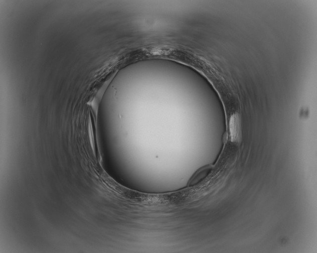 X0000097861443200803281301