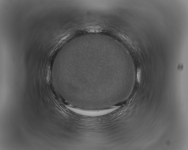 X0000097861444200803281301