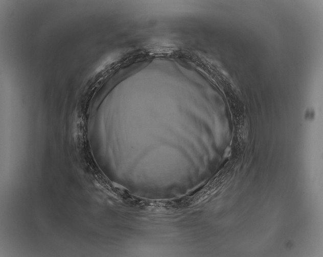 X0000097861445200803281301