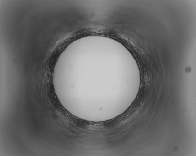 X0000097861447200803281301